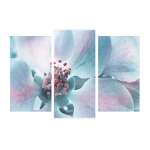 Модульная картина 95х67 см Цветок вишни в голубых тонах