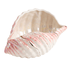 Вазочка декоративная Ракушка 18х10 см бело-розовая с перламутром