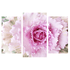 Модульная картина Триптих Роза Крупный план 84х60 см