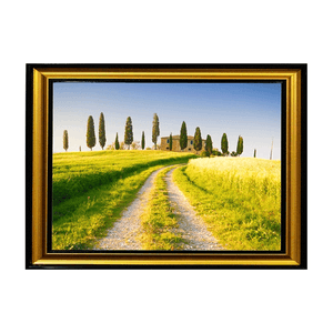 Картина Тоскана 57х40 см темная с золотом рама