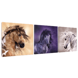 Модульная картина Триптих Три коня 153х50 см