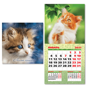 Календарь 2021 год перекидной Милые котята 29х29 см