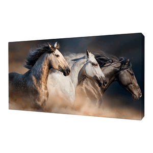 Картина Постер Три коня 109х68 см