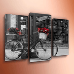 Модульная картина Триптих Велосипед 84х60 см