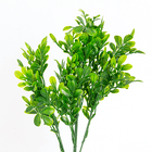 Веточка декоративная Самшит 25 см зеленая