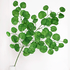 Ветка декоративная Эвкалипт Популус 80 см зеленый