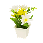 Цветы декоративные Календула 19 см белые и желтые цветы