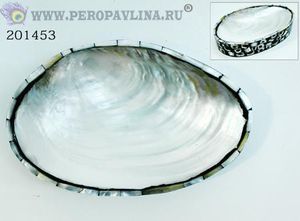 Тарелка-Мыльница Ракушка 24*4*15см ассорти