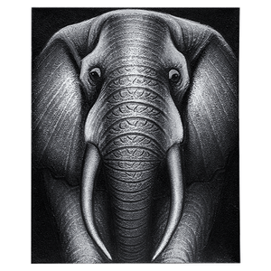 Картина маслом Слон в серых тонах 40х50 см анфас