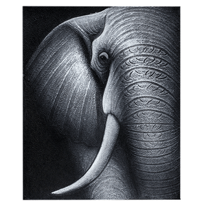 Картина маслом Слон в серых тонах 40х50 см