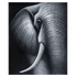 Картина маслом Слон в серых тонах 40х50 см