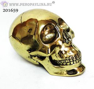 Череп 10*10см золото бронза/1шт
