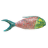 Панно настенное Рыба 90 см красно-зеленое албезия