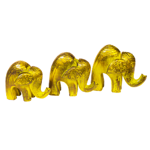Cлоны Семья 12,11,10 см Yellow Gold албезия