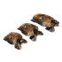 Шкатулки Черепахи Набор 3 шт 20,16,12 см в ассортименте коричневые албезия
