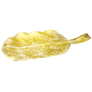 Блюдо декоративное Тропикана 60х6 см золотая патина