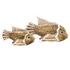 Рыбки пара 20,15 см натуральные с белым албезия
