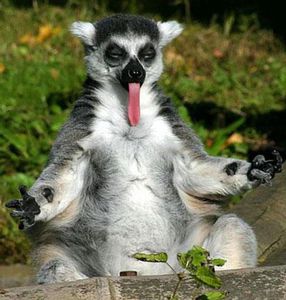 Собачка красная 4,5*9*8см полист/80шт