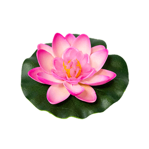 Лотос флористический 9х10 см розовый