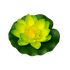 Лотос флористический 9х10см зелёно-жёлтый