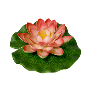 Лотос флористический 14х14 см светло-розовый