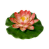 Лотос флористический 14х14 см светло-розовый