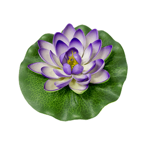 Лотос флористический 14х14 см фиолетовый