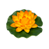 Лотос флористический 14х14см апельсин