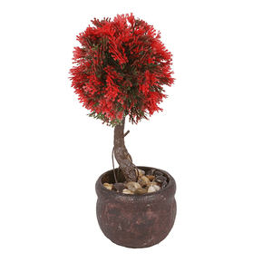 Дерево декоративное Платан 23 см красная листва