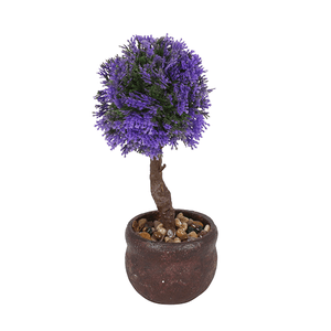 Дерево декоративное Платан 23 см фиолетовая листва