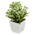 Букет декоративный Полевые цветы 20 см бело-зеленый