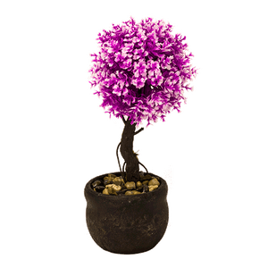 Дерево декоративное Платан 23 см пурпурно-белая листва