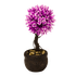Дерево декоративное Платан 23 см пурпурно-белая листва