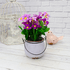 Букет декоративный Космея 19 см цветы в фиолетовых тонах сиреневое кашпо