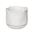 Кашпо Тюльпан 13х11 см белое матовое фиксированный поддон