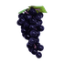 Виноград декоративный 8х17х5см чёрный