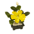 Дерево Пион желтый 1 цветок и бутон 17х13 см нефрит