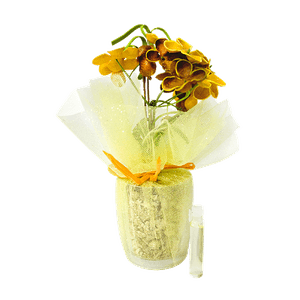 Ароматизатор Цветок 14 см Ваниль