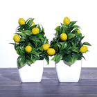 Искусственное растение 2 шт Лимон 18 см квадратный горшок