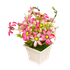 Букет декоративный Арктотис 19 см розовый
